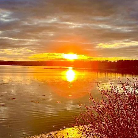 Edgewater Sunrise Apartment Chemainus Esterno foto