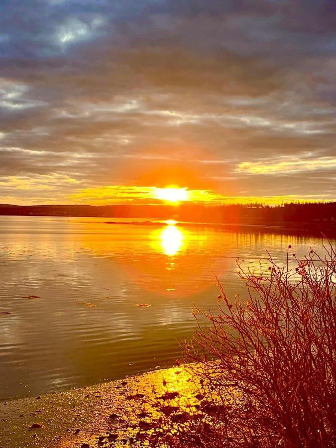 Edgewater Sunrise Apartment Chemainus Esterno foto